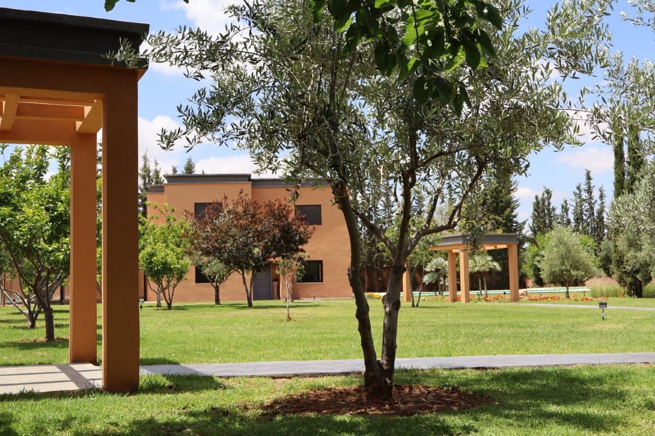 Photo 6