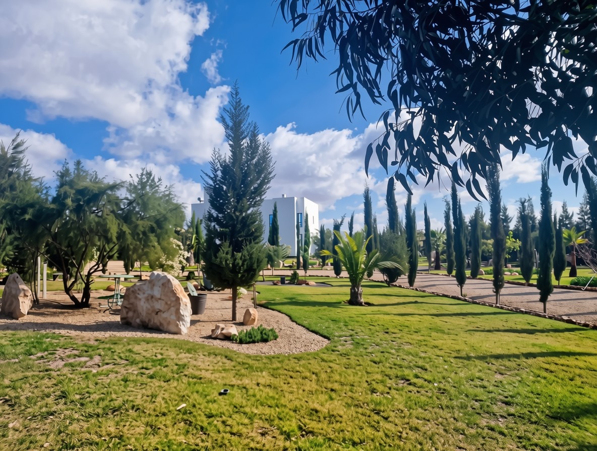 Photo 19